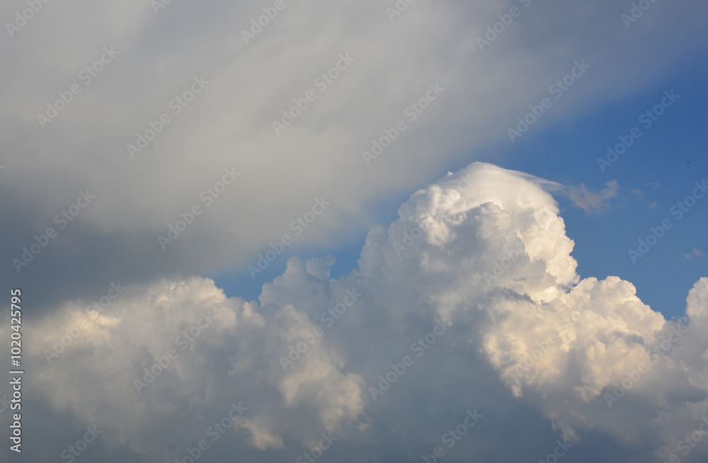 a cumulus cloud that is in the sky copy space banner a cumulus cloud that is in the sky copy space banner