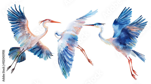 Set of Hand-Painted Watercolor Birds Isolated on White photo