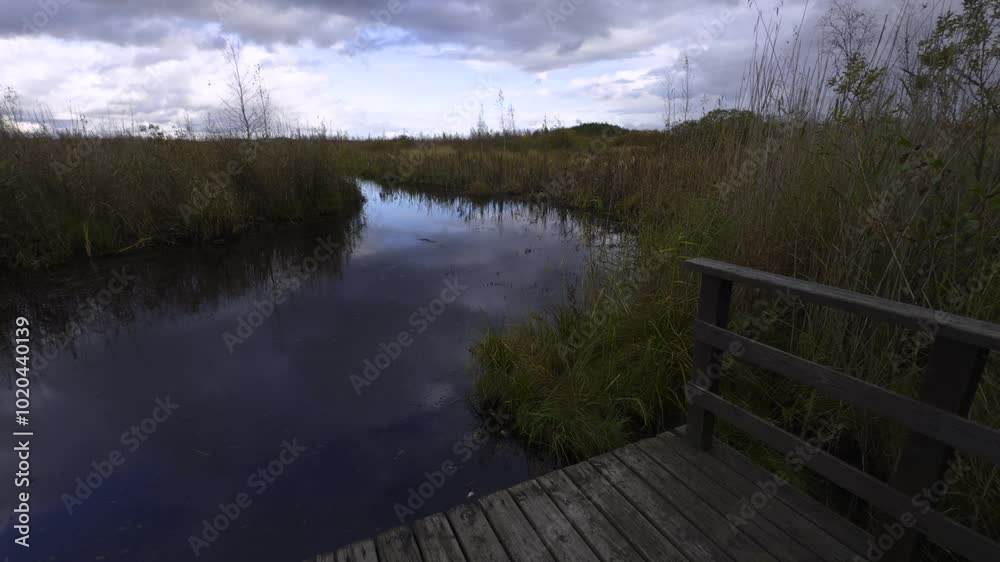 Rain softly falls over a wooden dock, creating gentle ripples in the marsh water. Surrounded by tall grass and under an overcast sky, the scene feels calm and serene. Wide-angle shot Rain softly falls over a wooden dock, creating gentle ripples in the marsh water. Surrounded by tall grass and under an overcast sky, the scene feels calm and serene. Wide-angle shot