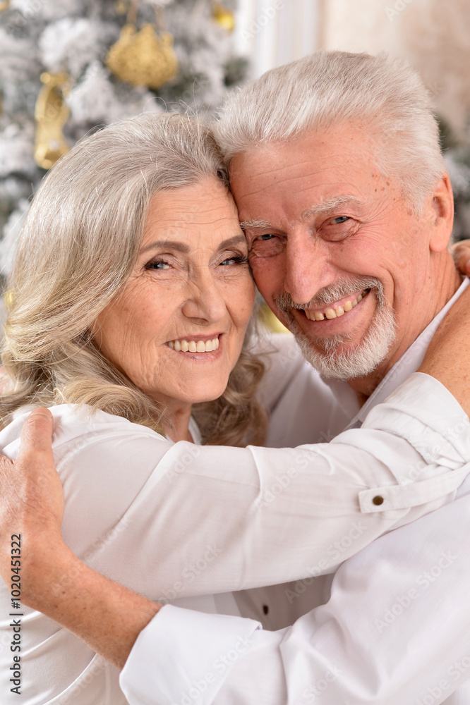 couple old and mature seniors enjoying and having fun together celebrating the new year couple old and mature seniors enjoying and having fun together celebrating the new year