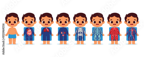 Cartoon Boy Anatomy Illustrations for Education