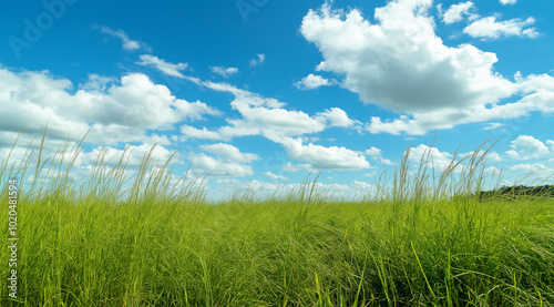 Blue Sky and White Clouds in Sky with blank Background. Panoramic View with Azure Sky Cloudless. Clean and Clear Sky with wide-Angle in High-Resolution. High-Definition Nature Scene Sky Banner