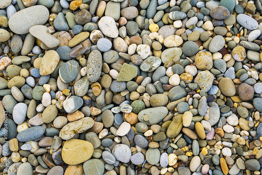 closeup varicoloured heap of marine pebbles as a background closeup varicoloured heap of marine pebbles as a background