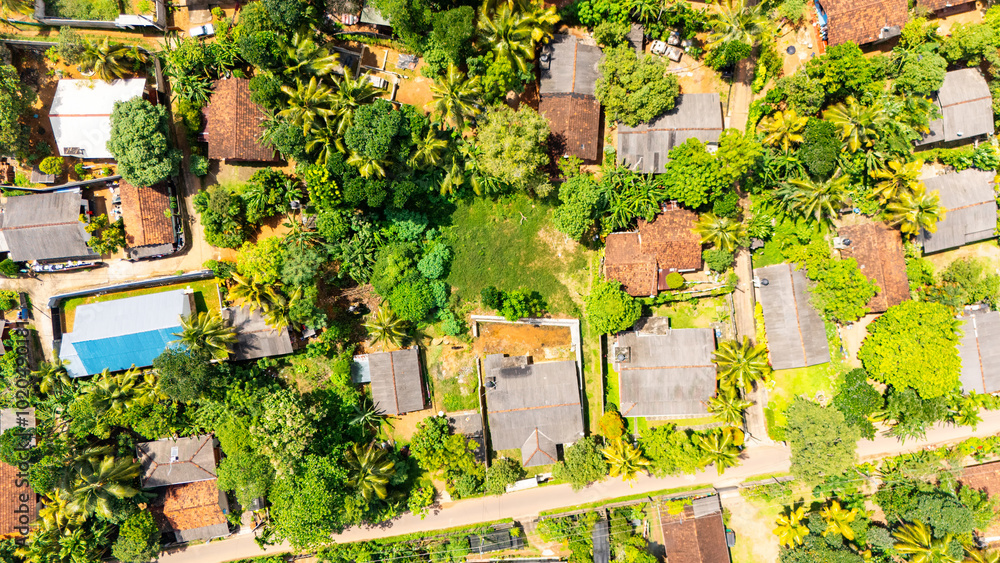 Lush Sri Lankan village from above. Explore the vibrant greenery and ...