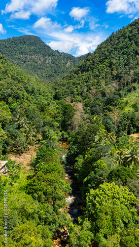 Sri Lanka's lush mountains and river. A breathtaking view of vibrant greenery and a gentle river flowing through the mountains of Sri Lanka on a sunny day.