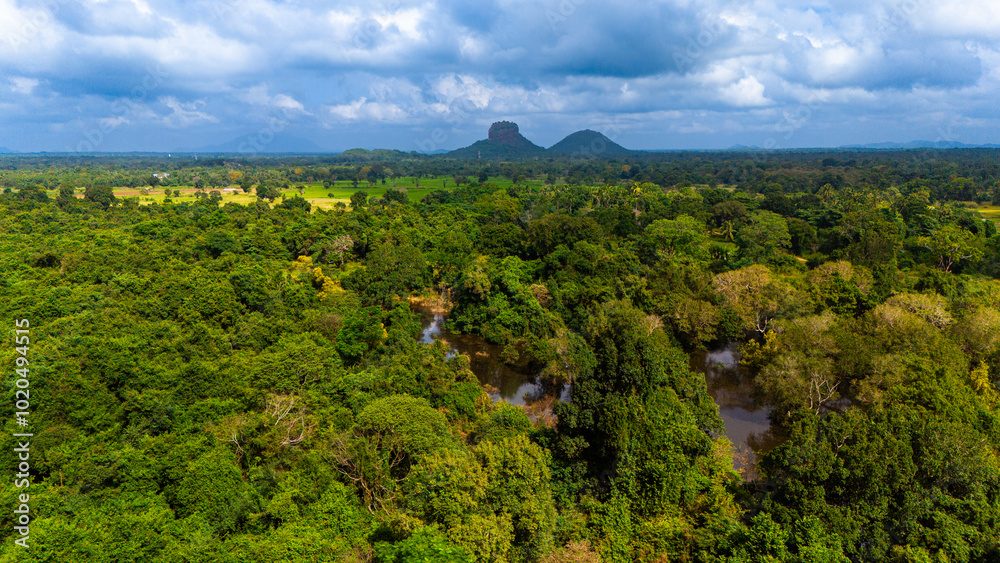 Fototapeta premium Sri Lanka's lush landscape under clouds. A stunning view of verdant forests and distant mountains in Sri Lanka, showcasing the rich natural beauty of the region.