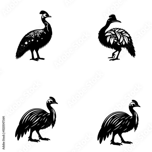 cassowary, icon, vector illustration, white background