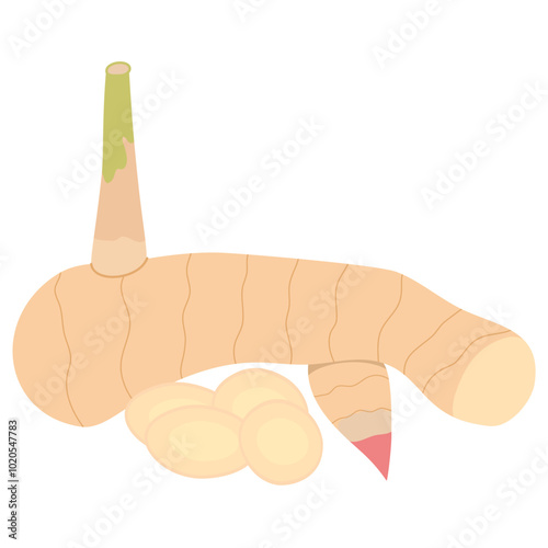 Galangal