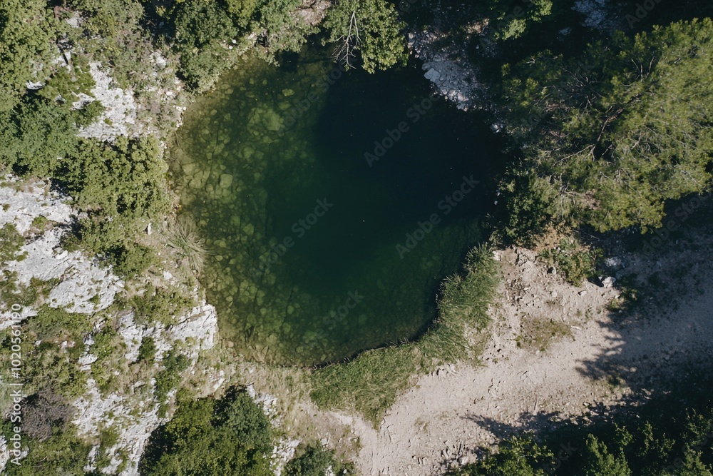 Aerial view of a serene hidden pond surrounded by lush greenery in a tranquil forest setting Aerial view of a serene hidden pond surrounded by lush greenery in a tranquil forest setting