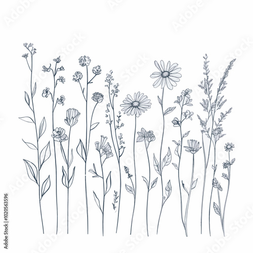 Wildflower Clippings for wedding invitation decoration, certificates, greeting cards