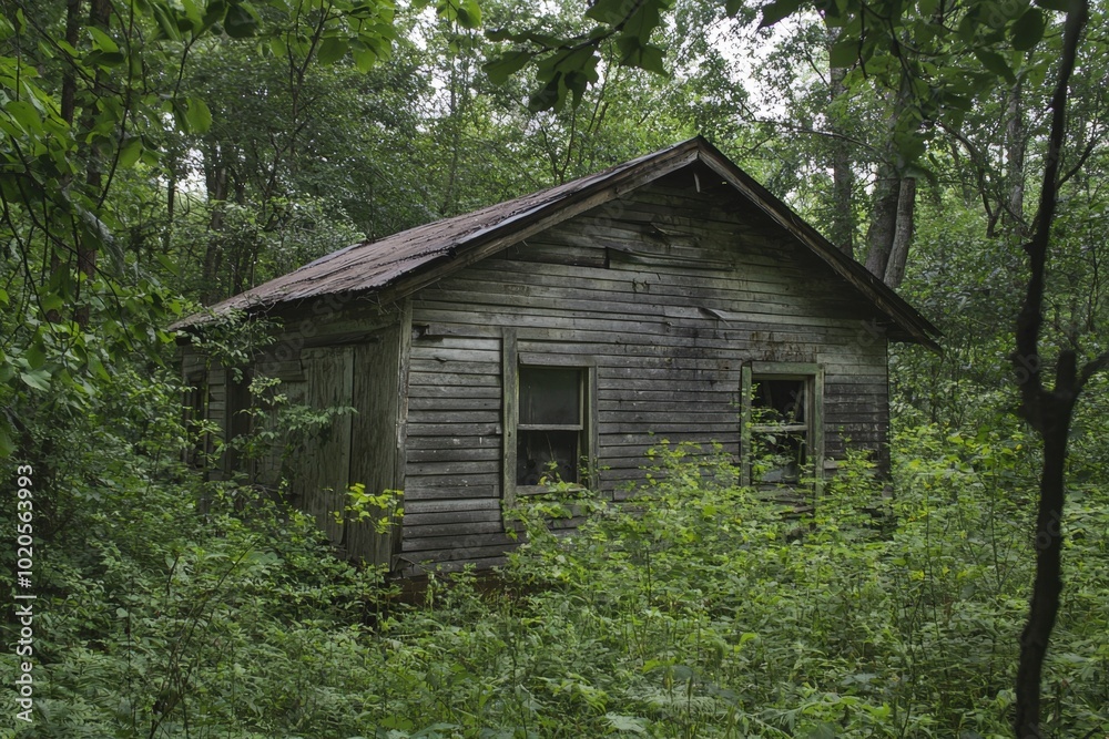 Abandoned wooden cabin enveloped by lush greenery under a serene overcast sky Abandoned wooden cabin enveloped by lush greenery under a serene overcast sky