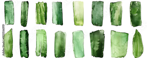 Green watercolor stripes hand-drawn collection photo