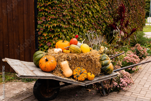 Ingathering.Pumpkins are lying on the table.Lots of pumpkins on market.Halloween photo