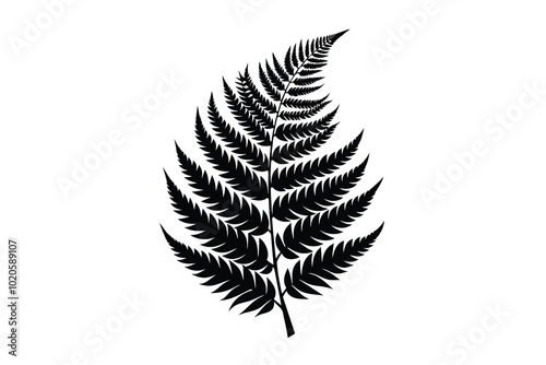 a fern leaf black H.eps