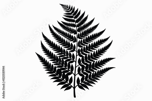 a fern leaf black I.eps