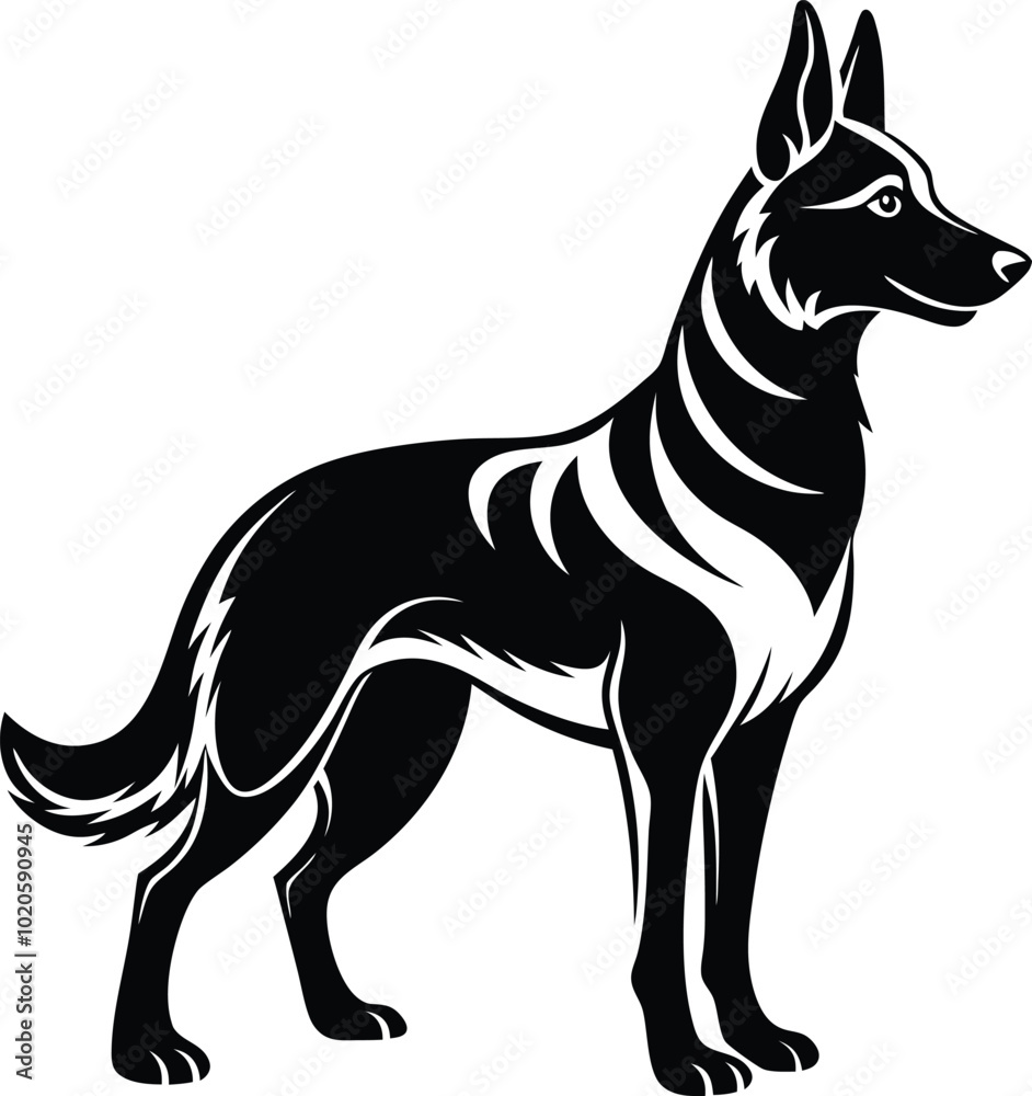 German shepherd dog in different poses on a white background objects silhouette illustration.