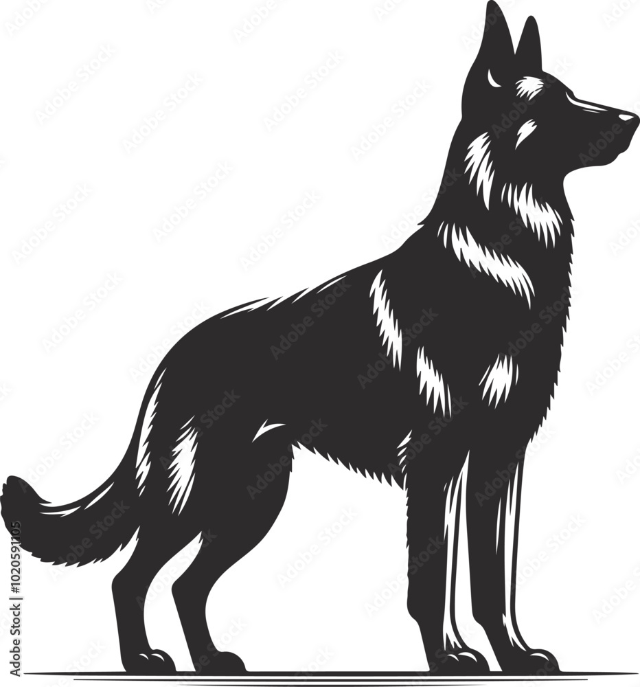 German shepherd dog in different poses on a white background objects silhouette illustration. German shepherd dog in different poses on a white background objects silhouette illustration.