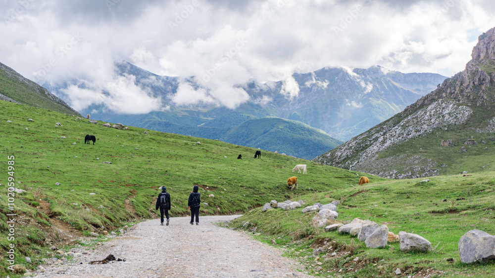 Fototapeta premium Two people hiking on a grassy and greenery mountain scenery with mountain peaks covered with clouds in the background