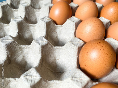 Fresh raw chicken eggs on paper egg tray. photo