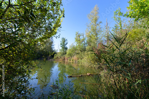 Episy ponds in the French Gâtinais Regional Nature Park photo