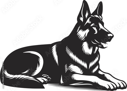 German shepherd dog in different poses on a white background objects silhouette illustration.