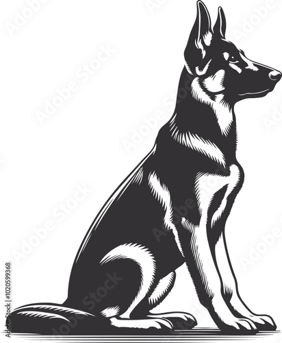 German shepherd dog in different poses on a white background objects silhouette illustration.