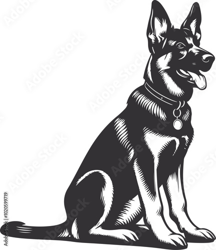 German shepherd dog in different poses on a white background objects silhouette illustration.