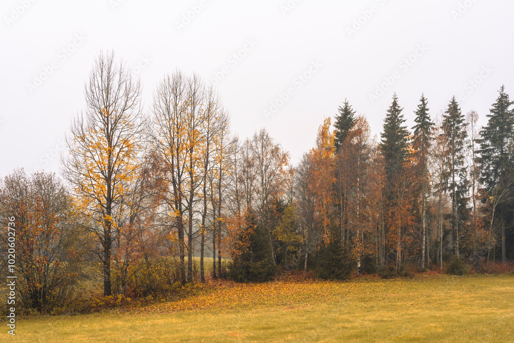 Fog by a field by the selected cultural landscape of Knai, Hurdal, Norway, a foggy day in October. Fog by a field by the selected cultural landscape of Knai, Hurdal, Norway, a foggy day in October.