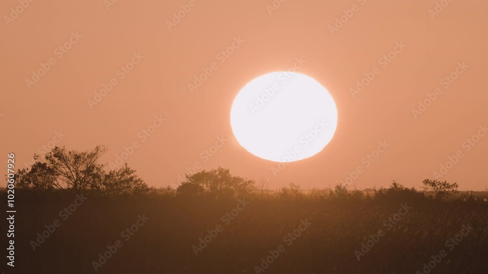 Last Minute of Everglades Sawgrass Landscape Sunset Last Minute of Everglades Sawgrass Landscape Sunset