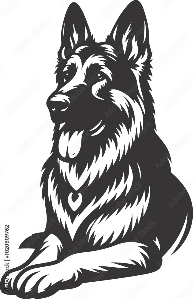Fototapeta premium black and white dog