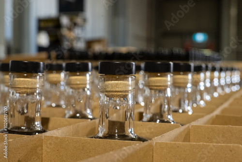 Glass bottles in factory, industrial bottling, packaging crates, alcohol distillery rum vodka gin