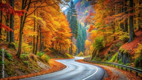 Forced perspective of a winding secondary road in a mountain forest during autumn