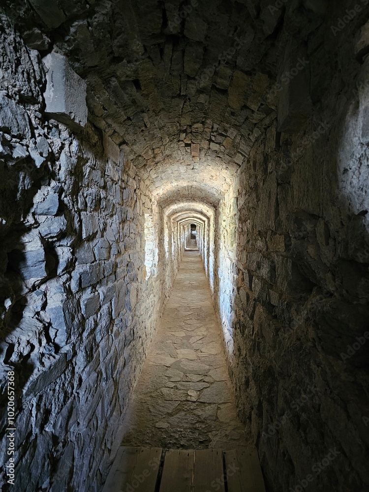 Fototapeta premium tunnel in the castle