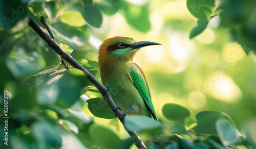 AI generator images of Blue-tailed bee-eater bird,Merops philippinus,Linnaeus,It is a migratory bird in Thailand. It is a protected wildlife. According to the Wild Animal Preservation and Protection 