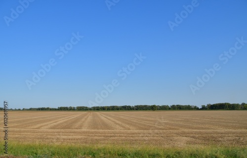 Harvested Farm Field