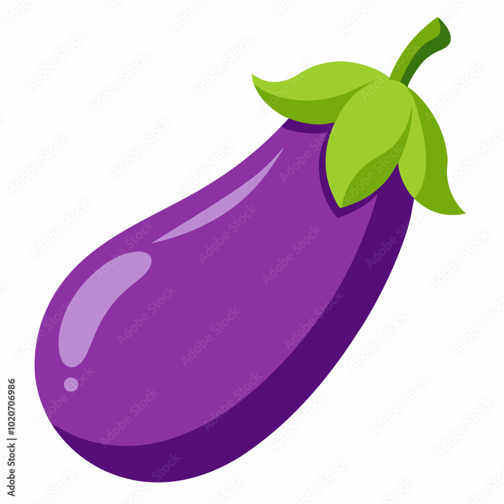eggplant vector illustration