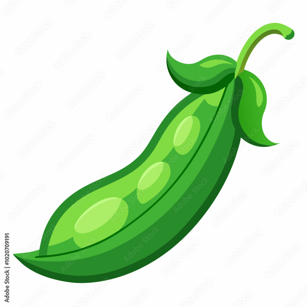 green bean vector illustration green bean vector illustration