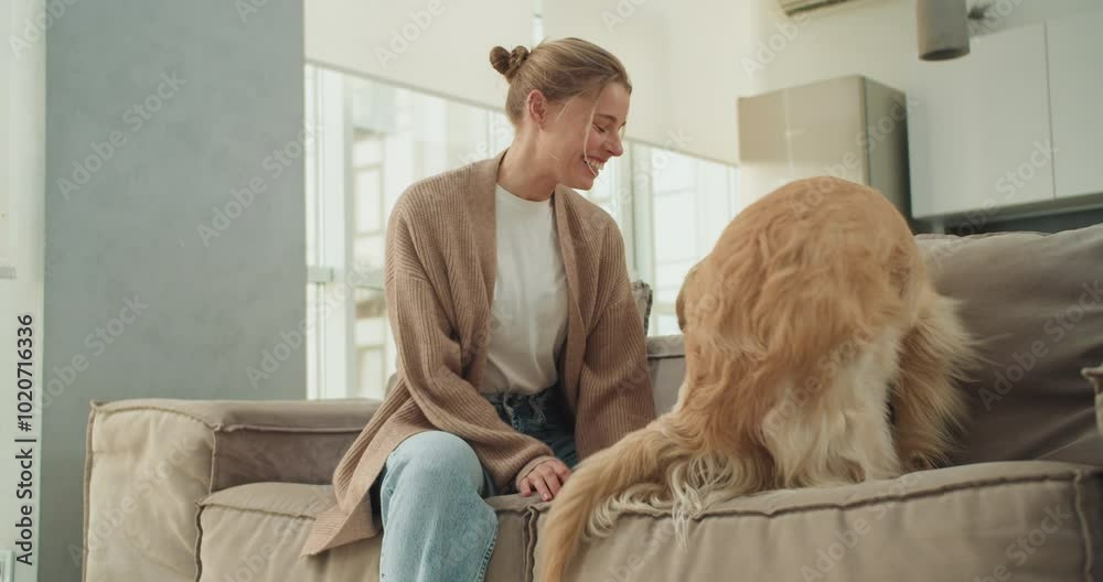 A young woman showing affection to her golden retriever on a cozy couch in a modern living room, expressing love and connection through a gentle touch and warm interaction