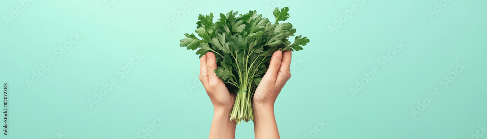Fresh greens held in hands against solid color background evoke sense of health and vitality. This captures essence of natures bounty and joy of fresh produce Fresh greens held in hands against solid color background evoke sense of health and vitality. This captures essence of natures bounty and joy of fresh produce