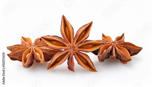 star anise spice isolated on white background