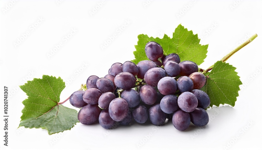 Fototapeta premium ripe grapes with leaves on white background