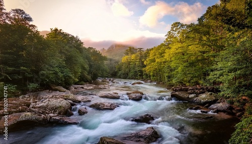 mills river in pisgah national forest north carolina