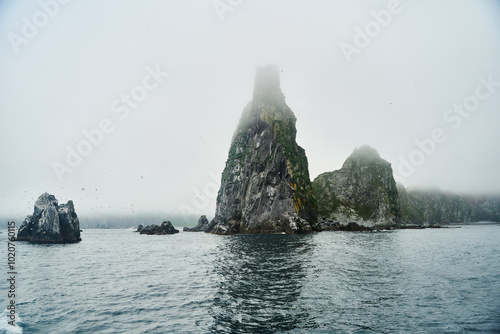 Buhta russkaya, Kamchatka. A rocky island shrouded in thick fog is beautifully bordered by calm, serene waters, offering refuge to many seabirds photo