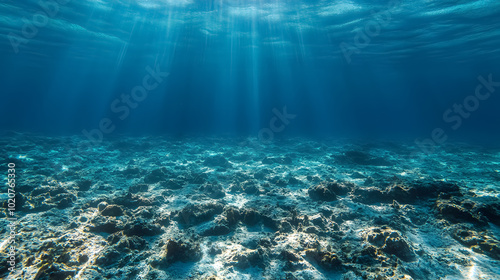 Empty Underwater Ocean Bottom Background with Copy Space: An underwater view of the ocean floor with ample empty space, suitable for adding text or design elements.