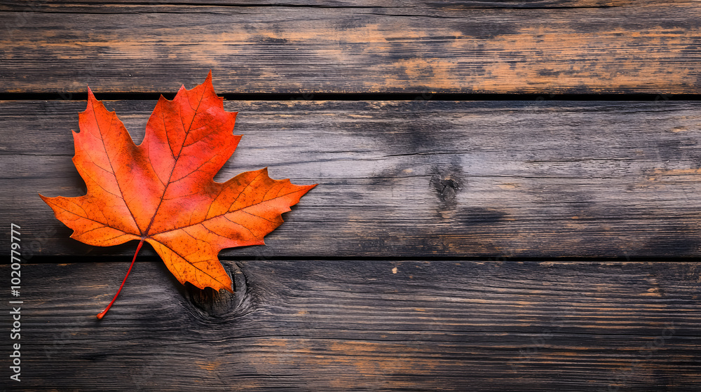 Fall Maple Leaf on Wooden Table: A single maple leaf placed on a wooden table, emphasizing the texture of the leaf against the rustic background. Fall Maple Leaf on Wooden Table: A single maple leaf placed on a wooden table, emphasizing the texture of the leaf against the rustic background.