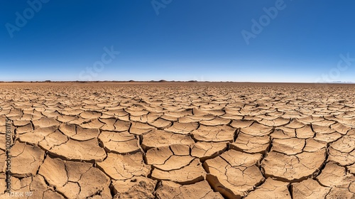 Cracked earth in a dry desert landscape.