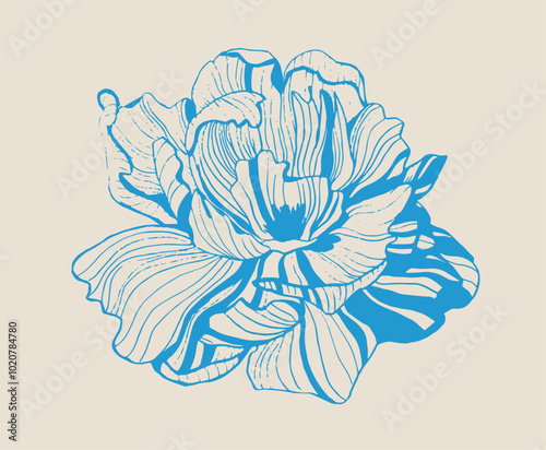 vintage line drawn flower. blue flower on beige background. old fashioned postcard. peony flower. iris flower. line drawing of flower. jasmine flower, apple flower, japanese flower of sakura.