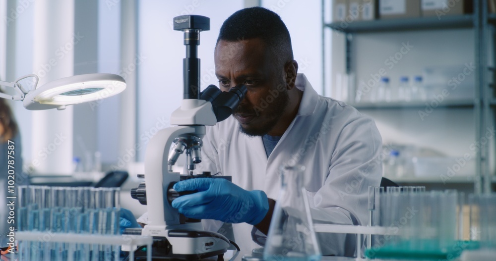 African American scientist looks under microscope, studies samples of new drug formula in modern medical laboratory. In the background, female microbiologist enters data into PC. Medicine concept. African American scientist looks under microscope, studies samples of new drug formula in modern medical laboratory. In the background, female microbiologist enters data into PC. Medicine concept.