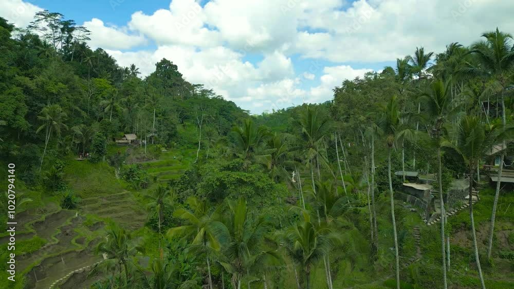 Aerial view of lush green terraced rice fields and palm trees in Tegallalang, Bali under a vibrant cloudy sky.