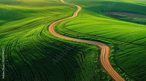 Aerial View of a Winding Road Through Rolling Green Fields